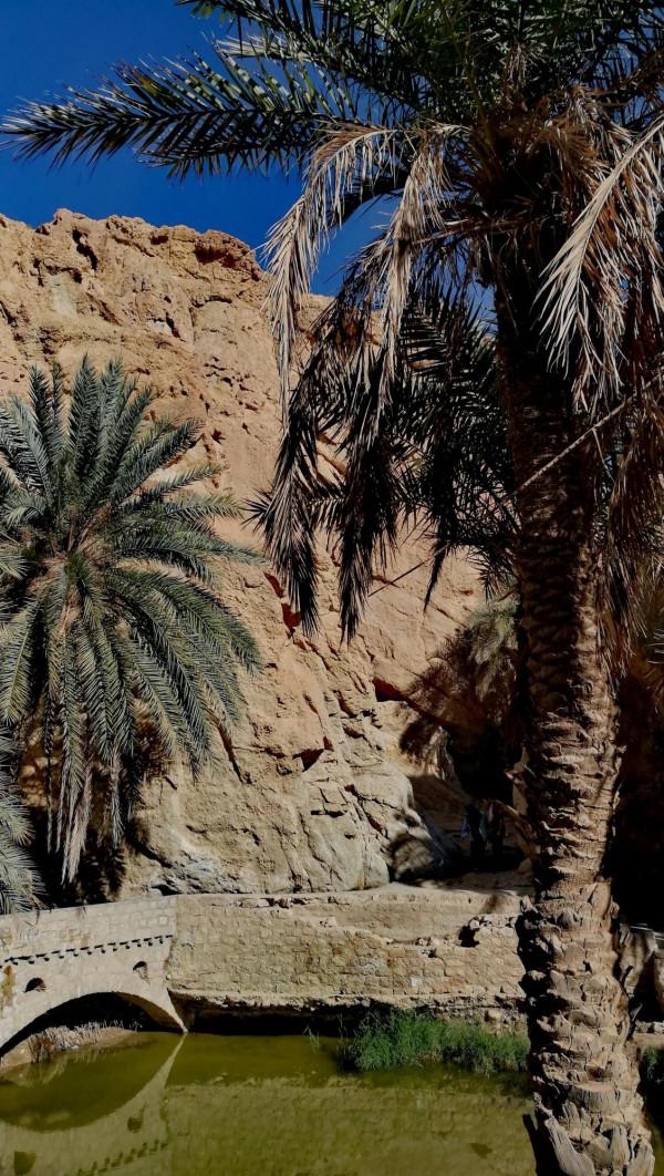 世界那麼大，我想去看看---突尼西亞篇