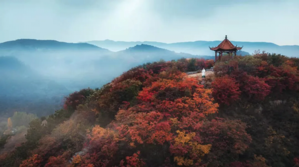 靈山秀水,漫山紅葉......一到深秋,這個被人遺忘的世外桃源又美成仙! 靈山秀水,漫山紅葉......一到深秋,這個被人遺忘的世外桃源又美成仙!