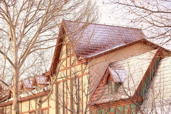 雪後北戴河街頭