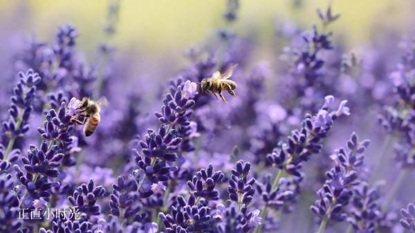 透過衣服顏色看人品 透過衣服顏色看人品