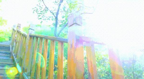 中秋好天氣,秋高氣爽爬山賞花過佳節! 中秋好天氣,秋高氣爽爬山賞花過佳節!