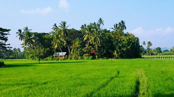 斯里蘭卡之旅(17)蒂瑟默哈拉默 斯里蘭卡之旅(17)蒂瑟默哈拉默