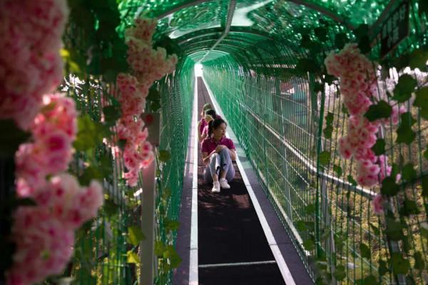 魔毯為什麼越來越受歡迎