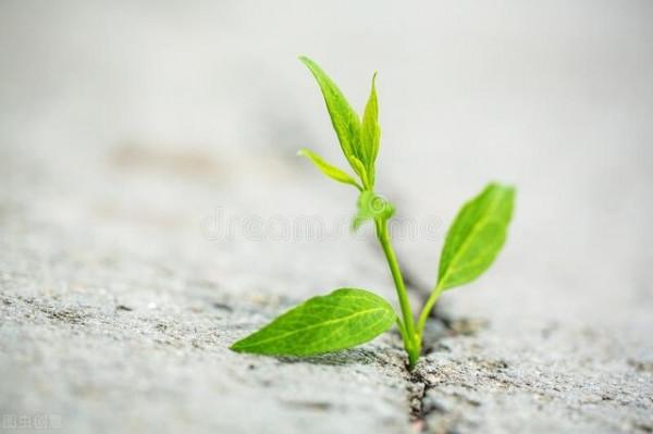 身處逆境丟掉4個包袱，人生才能越走越順，希望能幫助到你