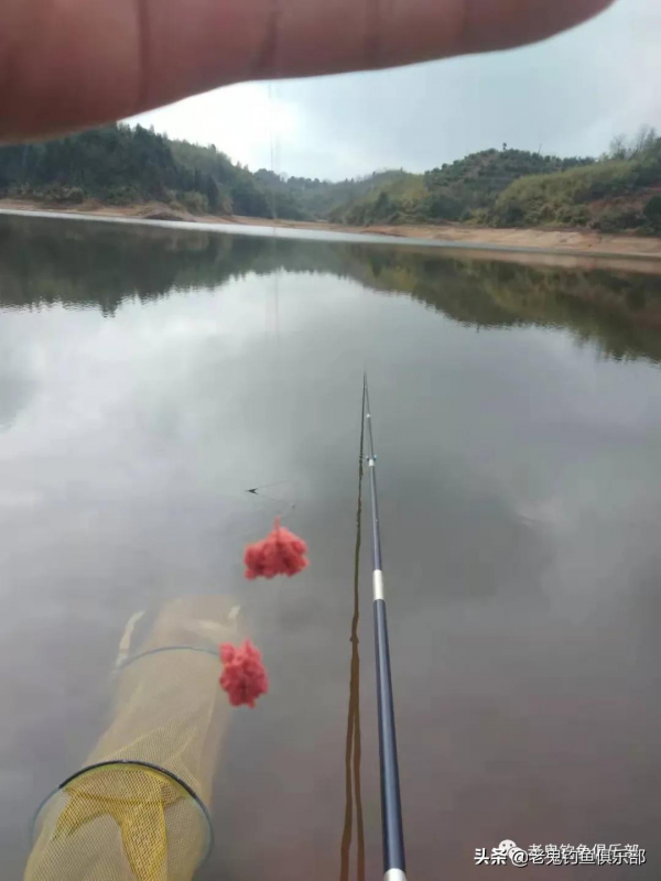 冬季野釣餌料中的戰鬥機——野戰之王·腥香