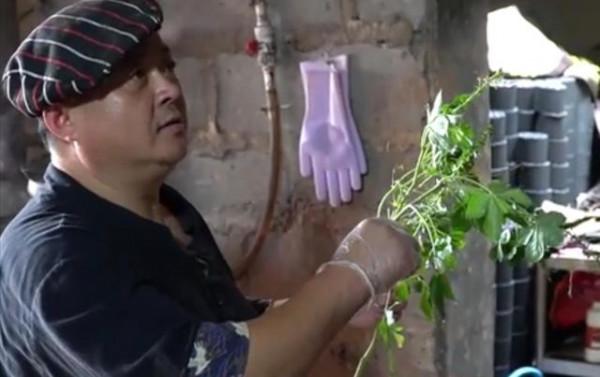 山東大爺用王八燉雞,製作從來不放鹽,24小時不停歇,全國獨一份 山東大爺用王八燉雞,製作從來不放鹽,24小時不停歇,全國獨一份