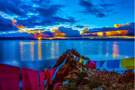 進藏利器 四款硬派越野車推薦