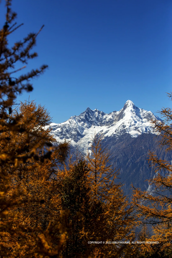 為什麼一定要去一次白馬雪山？