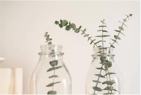 聽西西講故事：這家人太慘了