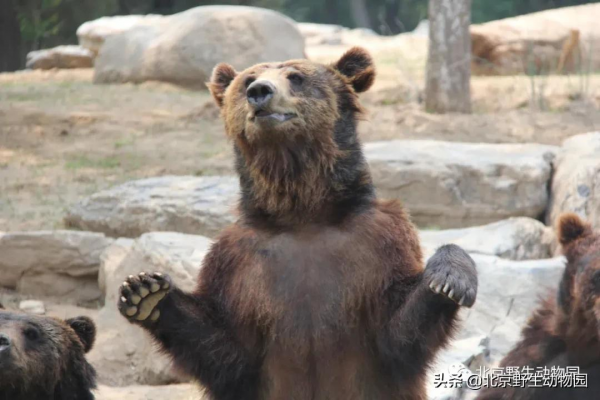 深秋時節，與動物相遇