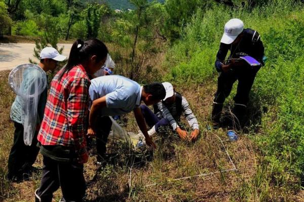 看！人家的假期