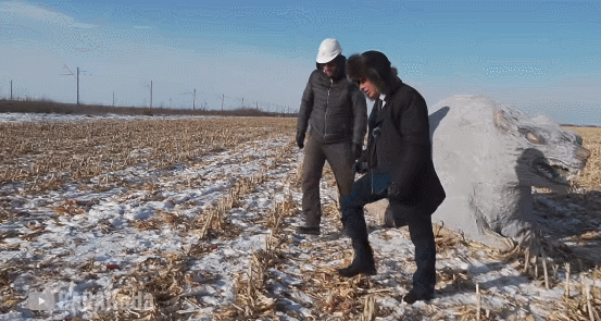 火遍中文網際網路的俄羅斯硬核警長，到底物理超度了多少狠人？