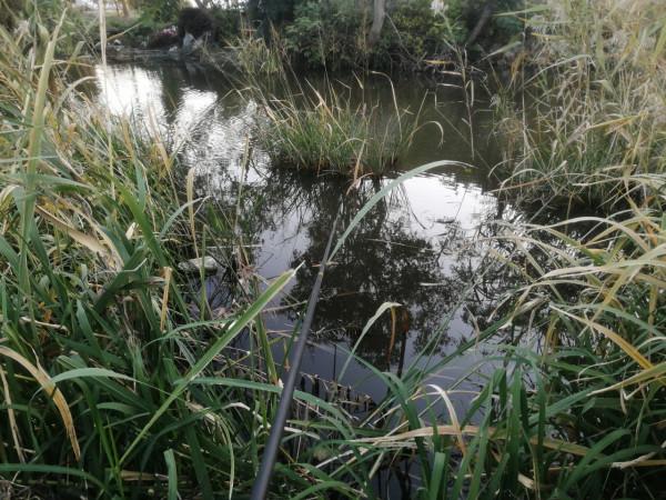 「雙11」寒潮來襲檢驗是否空軍,什麼用蚯蚓也能上草魚? 「雙11」寒潮來襲檢驗是否空軍,什麼用蚯蚓也能上草魚?