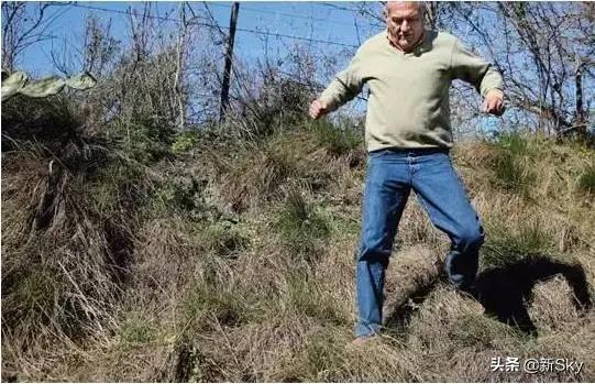 生命無常,歲月無情“我想抱抱你,卻再無可能” 生命無常,歲月無情“我想抱抱你,卻再無可能”