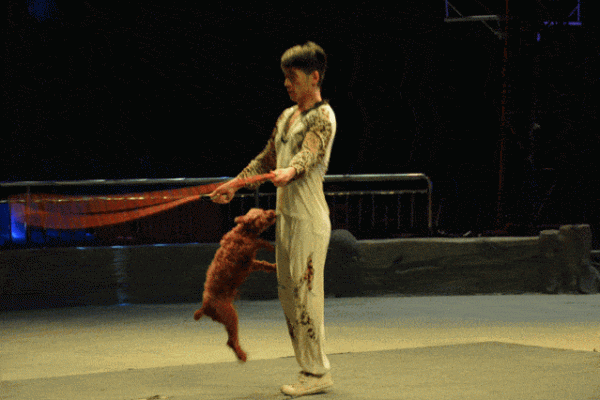 動物會跳繩，跳得比我行