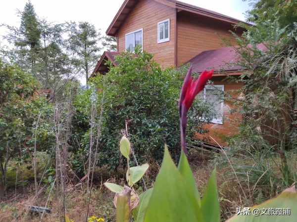 初冬，霞浦這片“楓”景不容錯過