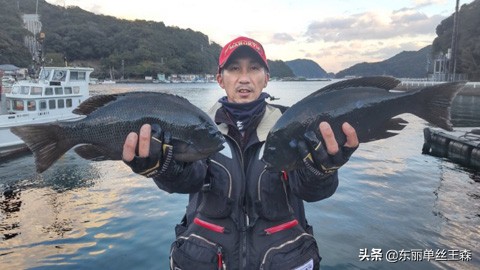 東麗試釣員田平 學，寒季斑鮁魚季節，首次出釣三重縣座浦的海岸