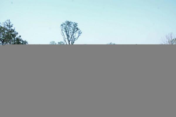 鄠縣渼陂（bei）湖