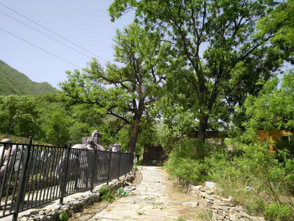 尋跡門頭溝 | 天橋浮裡的歲月風雲! 尋跡門頭溝 | 天橋浮裡的歲月風雲!