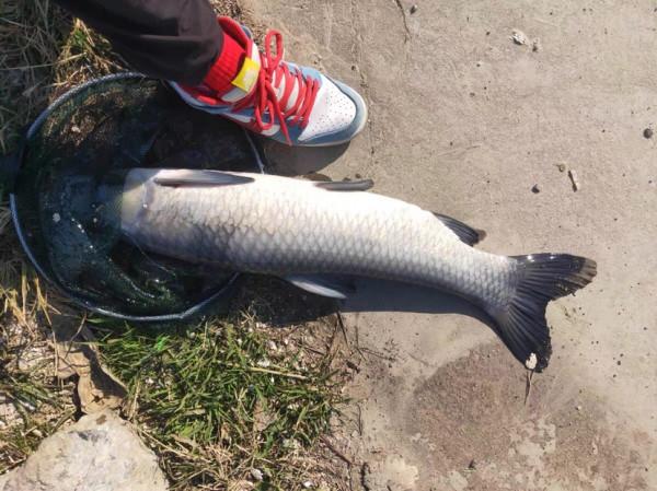 同道中的你是如何保養魚竿？歡迎留言交流