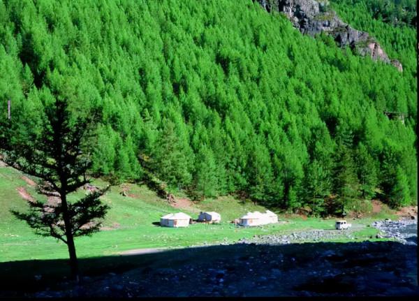 天賜之地——和布克賽爾