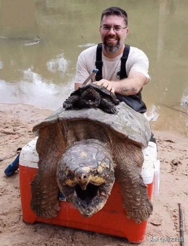 28張關於動物的對比照片,看完又漲知識了 28張關於動物的對比照片,看完又漲知識了