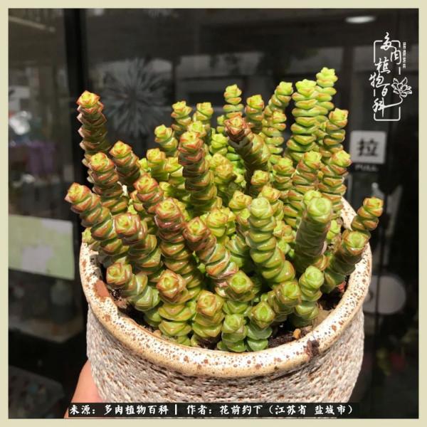 你儘管善良,福報都在路上 你儘管善良,福報都在路上