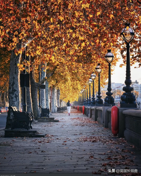 你還記得深秋英國的樣子嗎?若你還在,與你共享 你還記得深秋英國的樣子嗎?若你還在,與你共享