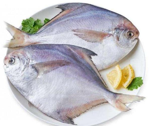 高血壓,不能吃魚嗎?醫生建議:想要平穩血壓,或要少碰2種食物 高血壓,不能吃魚嗎?醫生建議:想要平穩血壓,或要少碰2種食物