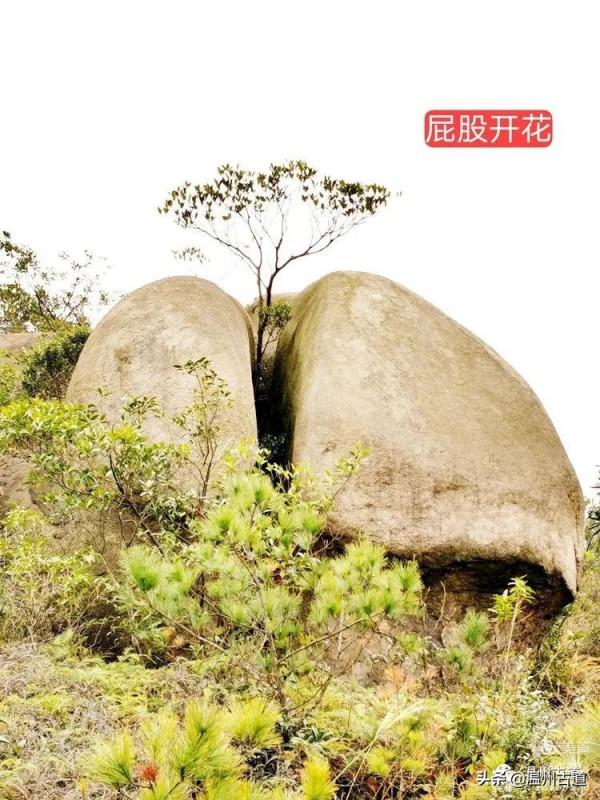 大羅山有處“二師兄”奇石，惟妙惟肖，你可找到過？