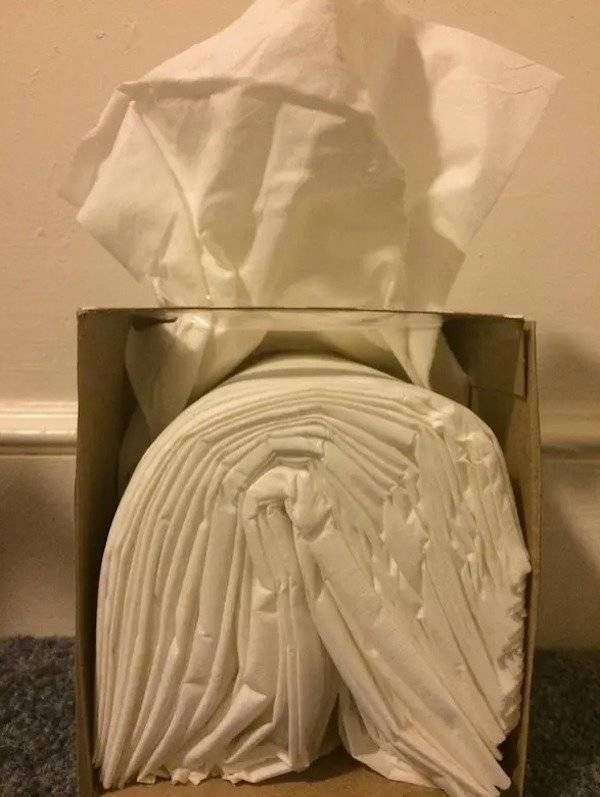 33張照片,剖開物體,或者換個角度看看!會發現又酷又有趣 33張照片,剖開物體,或者換個角度看看!會發現又酷又有趣