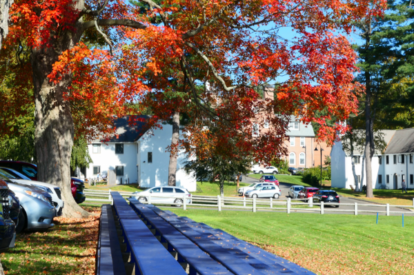 如何在股市實現財務自由,炒股的真諦 如何在股市實現財務自由,炒股的真諦