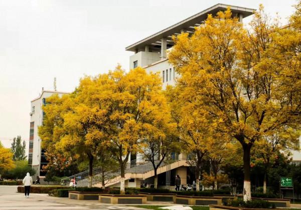 來吧！一起踏上秋天的旅途