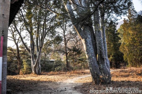 北京七王墳的主人奕譞，清朝最後兩個皇帝都是他的後代