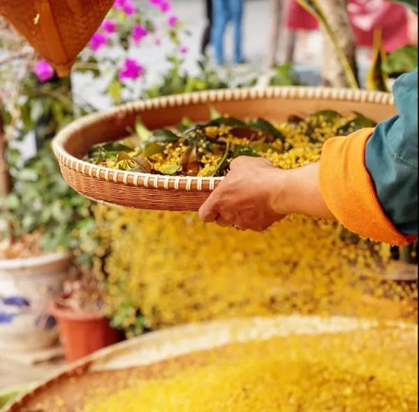 金秋十月，沉醉在江南絕美的秋色中，經典還免費