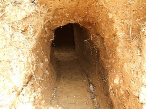 1995年,放羊娃誤入古墓,老爹貪財引進盜墓賊,引發悲劇 1995年,放羊娃誤入古墓,老爹貪財引進盜墓賊,引發悲劇