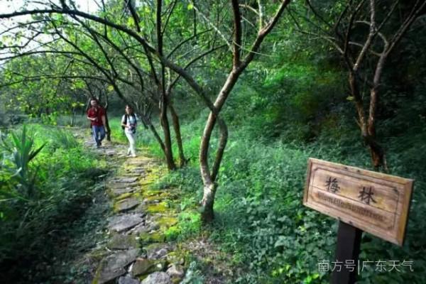 去旅遊嗎？新興天然氧吧的那種