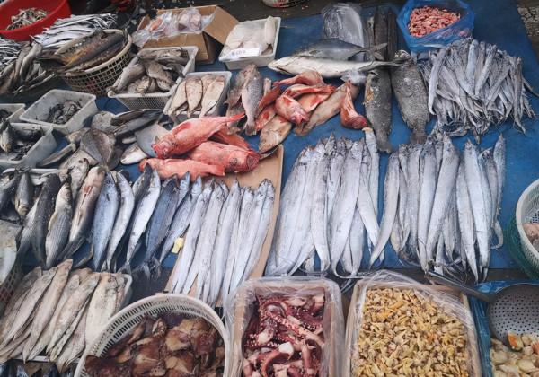 東北早市:如果我說這是東北最具煙火氣息的地方,不會有人反對吧 東北早市:如果我說這是東北最具煙火氣息的地方,不會有人反對吧