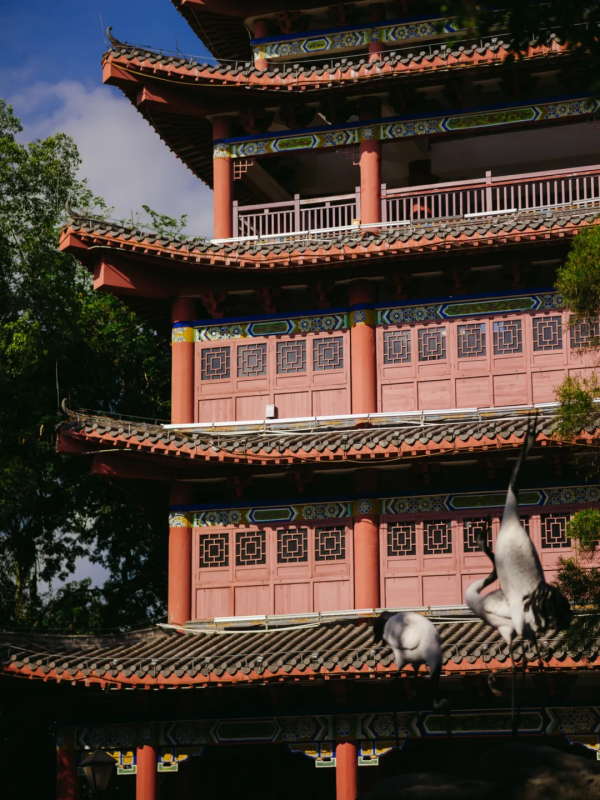 這座好吃到勾魂的廣西小城,有中國最大的騎樓群,還是粵語發源地 這座好吃到勾魂的廣西小城,有中國最大的騎樓群,還是粵語發源地