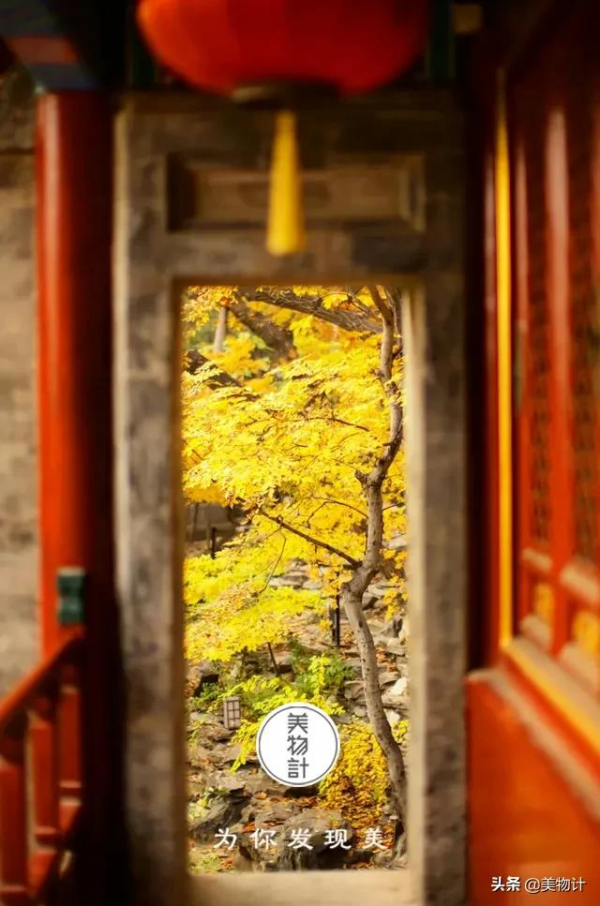 沒有人捨得在秋天離開北京 沒有人捨得在秋天離開北京