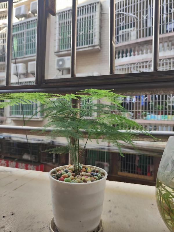 RealmeGt2 Pro親身體驗感受，非專業測評