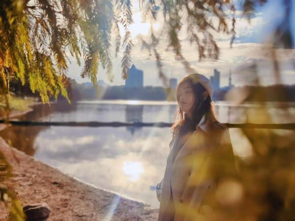 水瀲霞明映羽紅，醉迷照影落杉叢，麓湖落羽杉已進入最佳觀賞期