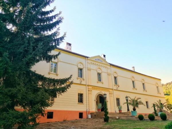 塞爾維亞和波黑之旅