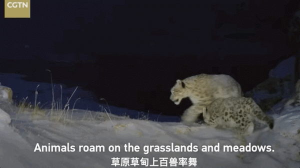 中國面積最大的國家公園,這片“人類禁區”終於限時開放了 中國面積最大的國家公園,這片“人類禁區”終於限時開放了