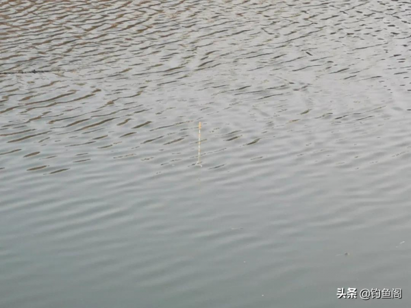 風浪大如何調漂抓口?最簡單的方法最有效,就怕你看不上 風浪大如何調漂抓口?最簡單的方法最有效,就怕你看不上