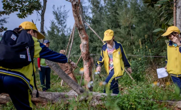 海馬人的朋友圈美爆了！戳進來，看看雪後海馬有多美
