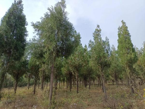 霧霾：你不知道怎麼處理，我們常相伴