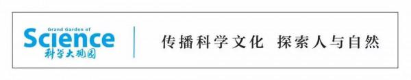 Nature：賀建奎即將出獄，如何保護第一個&OpenCurlyDoubleQuote;基因編輯嬰兒&rdquo;引發倫理爭議
