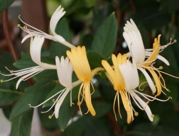 這些面板瘙癢緩解妙招,你試過了嗎 這些面板瘙癢緩解妙招,你試過了嗎