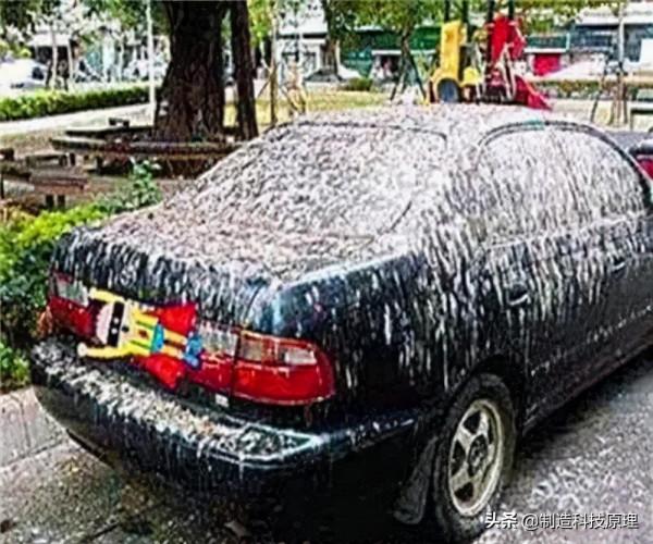 為何故宮屋頂沒有鳥屎？專家一語道破，老祖宗的智慧讓人佩服